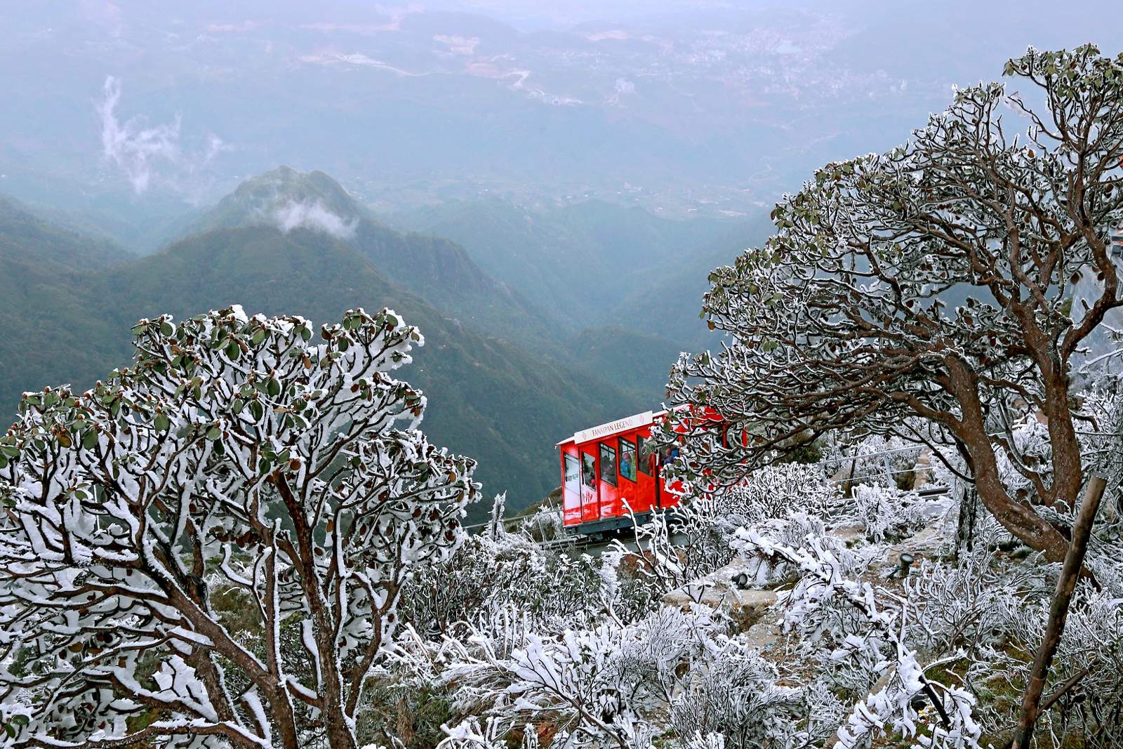 Trees and grass covered in white frost on a cold mountain morning