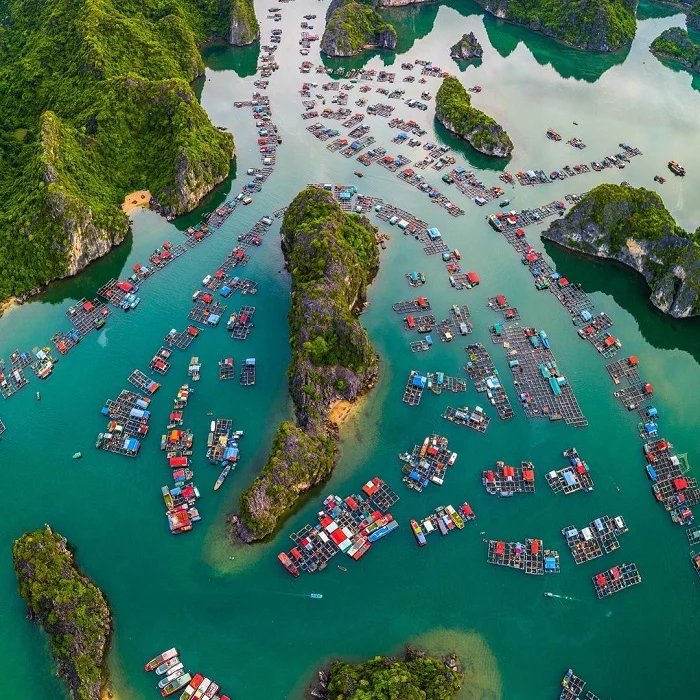 Colourful floating houses in a fishing village in Ha Long Bay