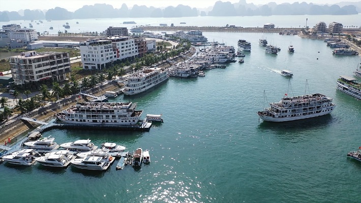 Cruise boats moored at Tuan Chau marina in Ha Long