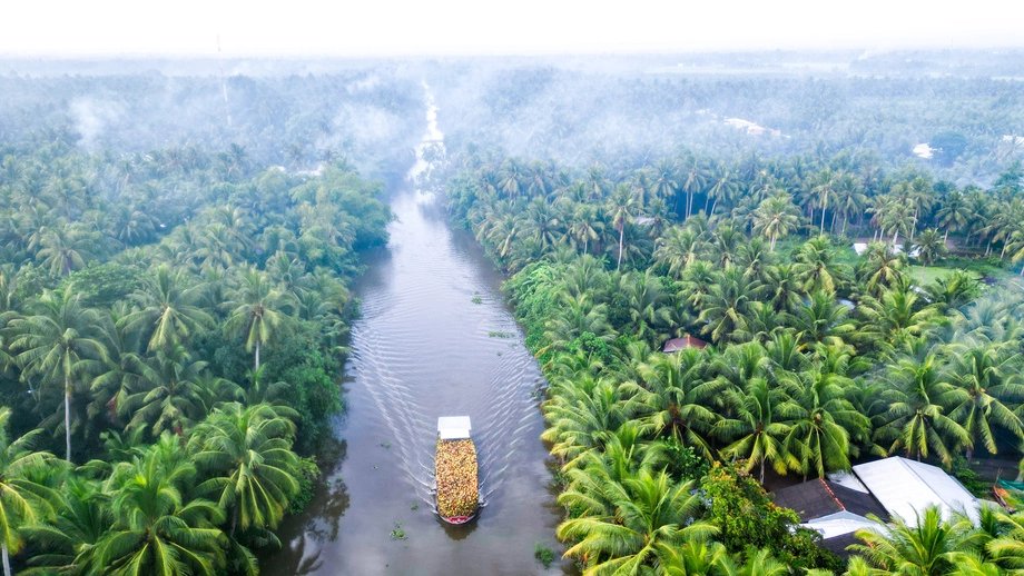 A wide brown river winding through coconut palms in the Mekong Delta, seen from above