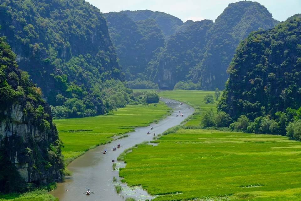 Rowing boats on the river winding through green rice fields and limestone mountains in Tam Coc, Ninh Binh