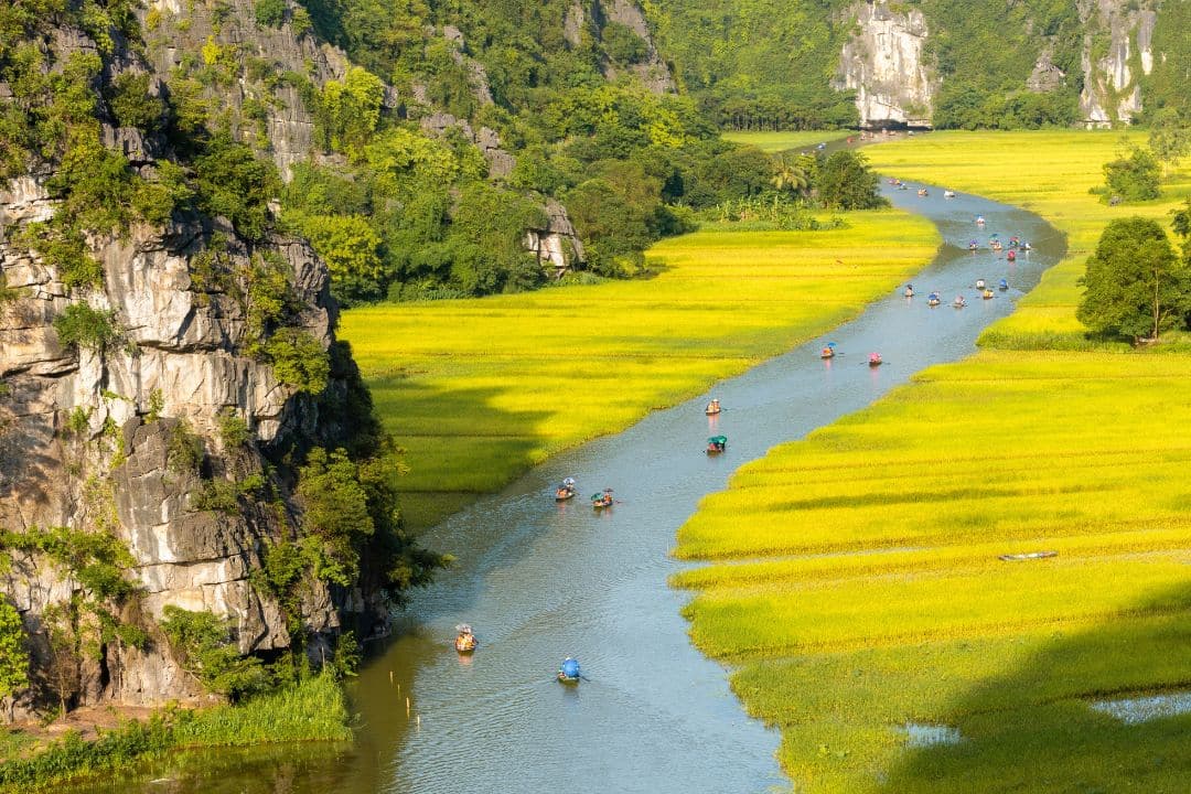A small boat moving slowly through rice fields and limestone hills in Ninh Binh