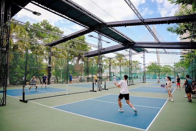 Outdoor pickleball courts surrounded by palm trees on a sunny day