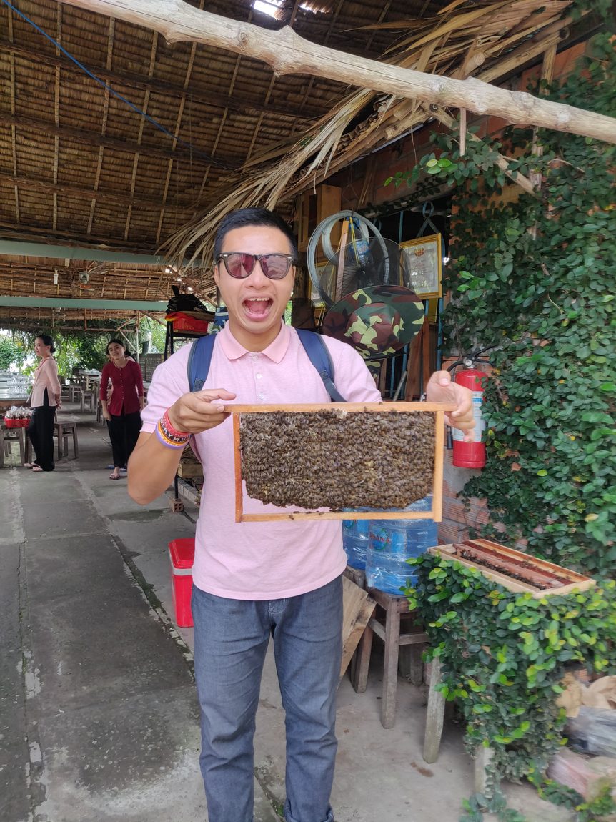 A honeycomb frame at a local honey farm stop