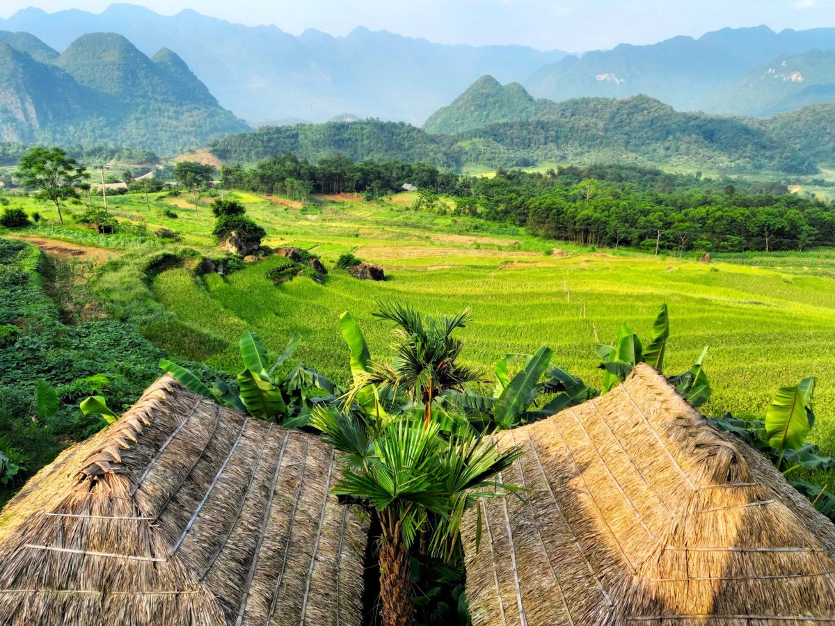 Rice terraces and thatched stilt houses in the Pu Luong valley, Thanh Hoa
