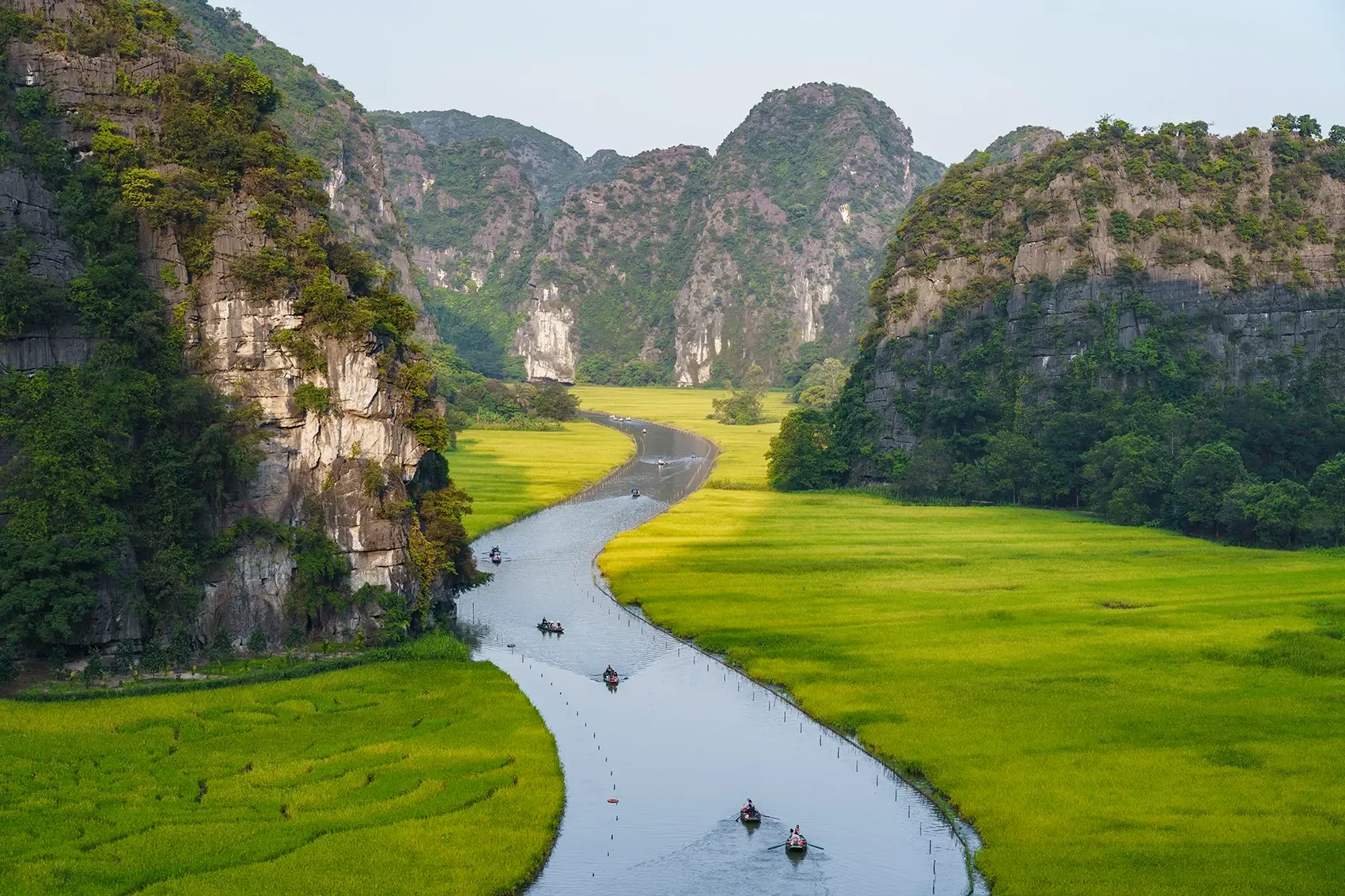 Rowboats gliding through Tam Coc's limestone rivers and rice paddies, Ninh Binh